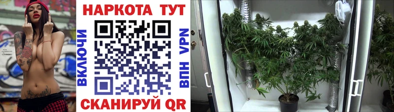 Купить наркоту Кисловодск МАРИХУАНА OMG вход АМФ МЕФ Alpha PVP