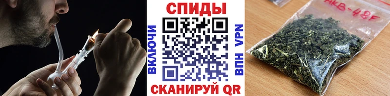 мориарти состав  Кисловодск  Бутират бутик 