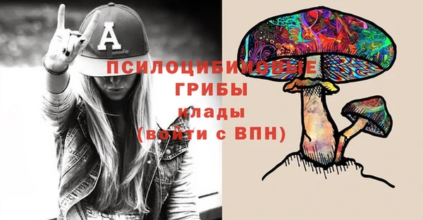 шишки Володарск