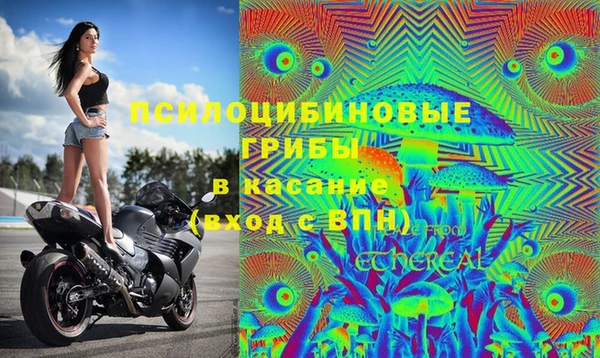 шишки Володарск