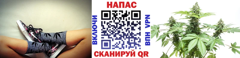 МАРИХУАНА VHQ  Кисловодск 